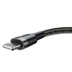 Кабель Baseus USB - Lightning 31647-uniw цена и информация | Кабели для телефонов | hansapost.ee