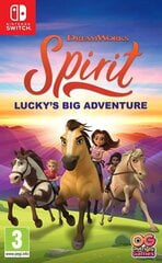 SWITCH Spirit: Lucky's Big Adventure. цена и информация | Компьютерные игры | hansapost.ee