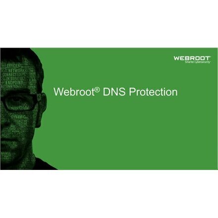 Webroot 152300002B цена и информация | Viirusetõrjed | hansapost.ee