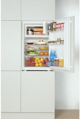 Amica BM 132.3 цена и информация | Холодильники | hansapost.ee