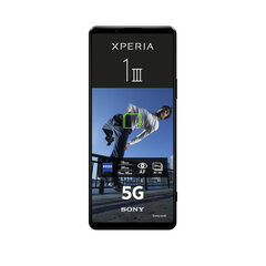 Sony Xperia 1 III 12/256GB Dual SIM Black hind ja info | Telefonid | hansapost.ee