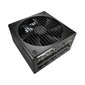 Fractal Design Ion+ 2 Platinum 860W цена и информация | Toiteplokid | hansapost.ee