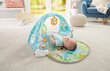 Muusikaline tegelustekk Fisher Price "Butterfly Dreams" hind ja info | Arendavad tegelusmatid | hansapost.ee