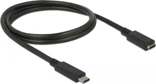 Delock 85533, USB-C, 1 м цена и информация | Кабели и провода | hansapost.ee