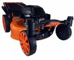 Bensiinimootoriga muruniiduk Amber-Line Zero, 51cm, 3.0kW hind ja info | Muruniidukid | hansapost.ee