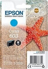 EPSON Singlepack Cyan 603 Ink цена и информация | Картриджи для струйных принтеров | hansapost.ee