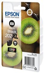 EPSON Singlepack Photo Black 202XL Kiwi hind ja info | Tindiprinteri kassetid | hansapost.ee
