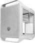 BitFenix BFC-PM2-300-WWGSW-RP цена и информация | Arvutikorpused | hansapost.ee