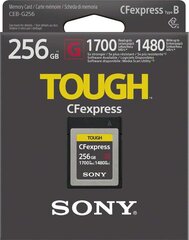 SONY CEB-G series CFExpress mälukaart 256GB hind ja info | Fotoaparaatide mälukaardid | hansapost.ee