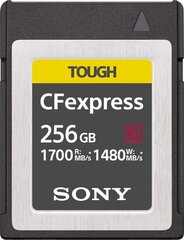SONY CEB-G series CFExpress mälukaart 256GB hind ja info | Fotoaparaatide mälukaardid | hansapost.ee