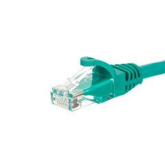 NetRack BZPAT025UG цена и информация | Кабели и провода | hansapost.ee