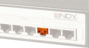 Lindy 40481 цена и информация | Кабели и провода | hansapost.ee