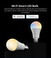 Nutikas LED pirn SONOFF B02-B-A60 Wi-Fi hind ja info | Lambipirnid ja LED-pirnid | hansapost.ee