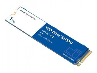 WD WDS100T3B0C hind ja info | Sisemised kõvakettad | hansapost.ee