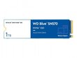 WD WDS100T3B0C цена и информация | Sisemised kõvakettad | hansapost.ee