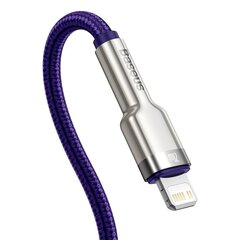 Baseus Cafule Series Metal Data USB Type C - Lightning Cable Power Delivery 20 W 1 m violet (CATLJK-A05) цена и информация | Borofone 43757-uniw | hansapost.ee