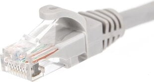 NetRack BZPAT0256 цена и информация | Кабели и провода | hansapost.ee