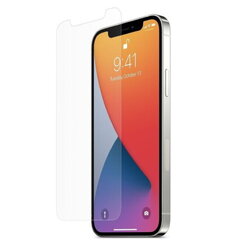 Riff Protection Karastatud klaas 0.3mm Apple iPhone 12 Pro Max jaoks hind ja info | Ekraani kaitseklaasid ja kaitsekiled | hansapost.ee