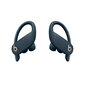 Powerbeats Pro Totally Wireless Earphones -Navy - MY592ZM/A цена и информация | Kõrvaklapid | hansapost.ee