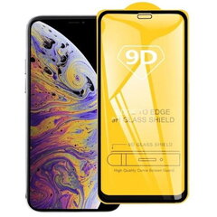 Защитное стекло TakeMe 9D Hybrid, для Apple iPhone XS Max, iPhone 11 Pro Max, черная рамка цена и информация | TakeMe Мобильные телефоны, Фото и Видео | hansapost.ee