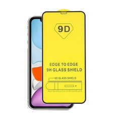 Защитное стекло TakeMe 9D Hybrid, для Apple iPhone XS Max, iPhone 11 Pro Max, черная рамка цена и информация | Защитные пленки для телефонов | hansapost.ee