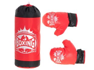RoGer Комплект детской боксерской сумки Красный цена и информация | Бокс | hansapost.ee