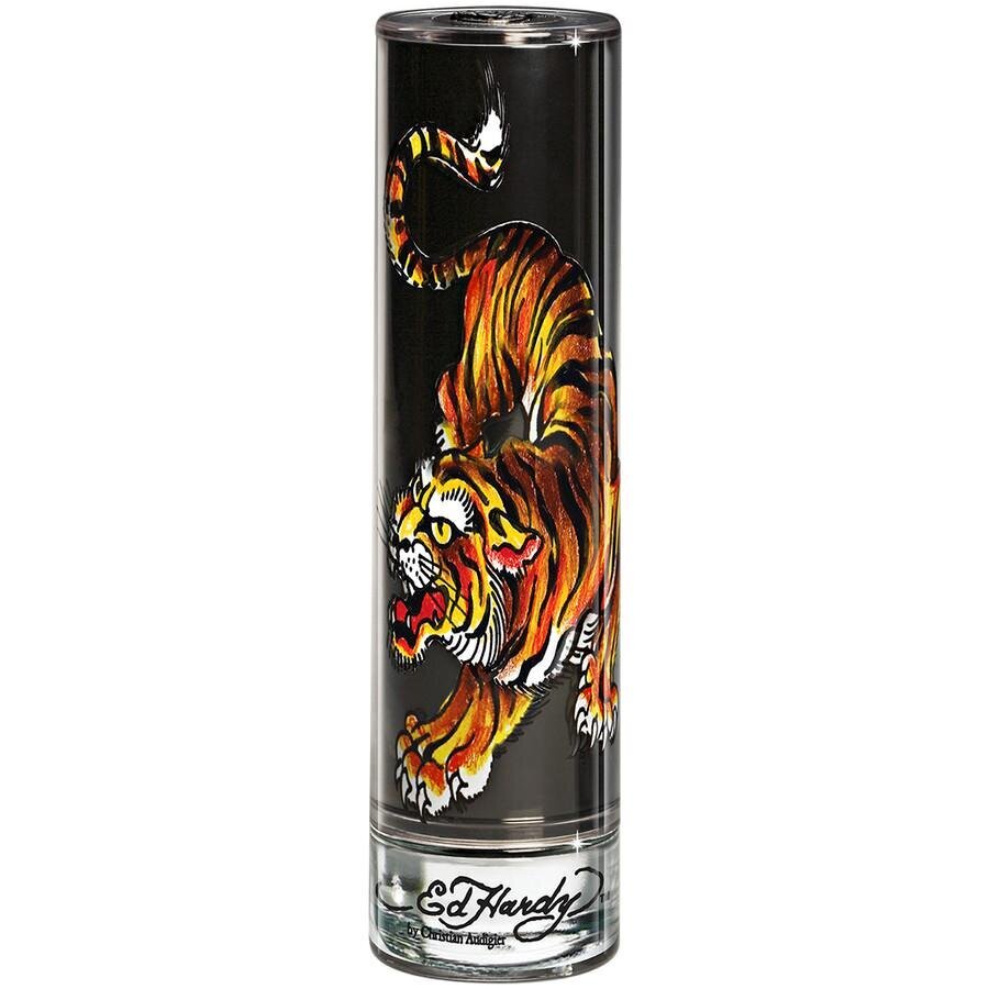 Tualettvesi Christian Audigier Ed Hardy Men's EDT meestele, 100 ml цена и информация | Parfüümid meestele | hansapost.ee