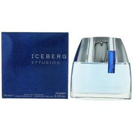 Iceberg Effusion Man EDT meestele 75 ml цена и информация | Parfüümid meestele | hansapost.ee