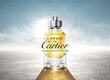 Cartier L'Envol De Cartier - EDT hind ja info | Parfüümid meestele | hansapost.ee