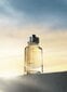 Cartier L'Envol De Cartier - EDT hind ja info | Parfüümid meestele | hansapost.ee