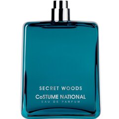 Parfüümvesi Secret Wood EDP meestele, 100 ml hind ja info | Parfüümid meestele | hansapost.ee