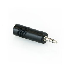 Master Audio HY1772, Aux 6.3 мм F/Aux 3.5 мм M цена и информация | Адаптеры и USB-hub | hansapost.ee