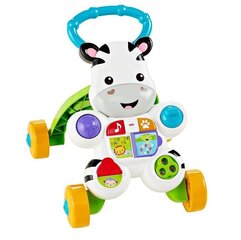 Muusikaline käimistugi Fisher Price, DPL53 (Poola keel) цена и информация | Игрушки для малышей | hansapost.ee