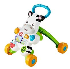 Muusikaline käimistugi Fisher Price, DPL53 (Poola keel) цена и информация | Игрушки для малышей | hansapost.ee