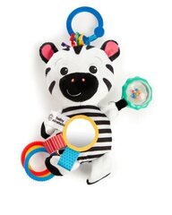 Подвесная игрушка Baby Einstein Playful Pal, 12793 цена и информация | Baby Einstein Игрушки | hansapost.ee
