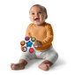 Tegevusmänguasi BABY EINSTEIN Twist & Pop Clutch, 12491 hind ja info | Beebide mänguasjad | hansapost.ee