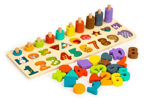 Puidust mänguasi Figuurid ja kujundid 3in1 Ecotoys, PH05R005 hind ja info | Arendavad laste mänguasjad | hansapost.ee