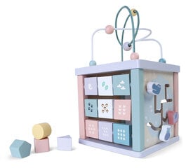 Деревянный образовательный куб Ecotoys цена и информация | Eco Toys Товары для детей и младенцев | hansapost.ee