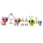 Rõõmus lemmikloomade komplekt Littlest Pet Shop, E7258 цена и информация | Mänguasjad tüdrukutele | hansapost.ee