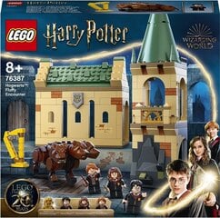 76387 LEGO® Harry Potter Kohtumine Puhhiga цена и информация | Конструкторы и кубики | hansapost.ee