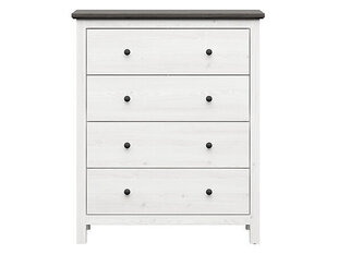 Kummut BRW Hesen 4S, valge/must price and information | Chests of drawers | hansapost.ee