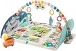 Tegelusmatt Fisher-Price Joyful Journeys Jumbo, FP-GYM05 hind ja info | Arendavad tegelusmatid | hansapost.ee