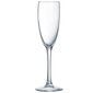 Šampanjapokaal Luminarc LA CAVE 160ml hind ja info | Klaasid, kruusid ja kannud | hansapost.ee