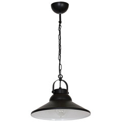 Luminex подвесной светильник Iron  цена и информация | Потолочный светильник, 38 x 38 x 24 см | hansapost.ee