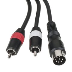 Автомобильный цифровой кабель Peiying PY-EM02 Panasonic цена и информация | Дополнительные принадлежности | hansapost.ee