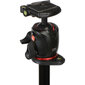 Manfrotto MK055XPRO3-BHQ2 hind ja info | Fotoaparaatide statiivid | hansapost.ee