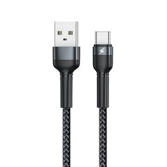 Remax USB - USB Type C зарядное устройство RC-124a цена и информация | Remax Мобильные телефоны, Фото и Видео | hansapost.ee