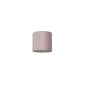 Nowodvorski Lighting valgusti kuppel 8515 Cameleon Barrel S Pink/White цена и информация | Rippvalgustid | hansapost.ee