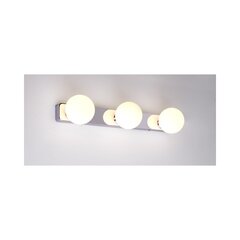 Nowodvorski Lighting seinavalgusti Brazos 6951 цена и информация | Настенные светильники | hansapost.ee