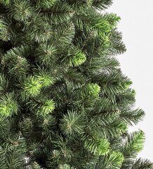Рождественская елка Paula 1,80м цена и информация | Новогодние елки | hansapost.ee